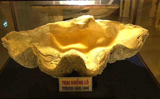 trai-khong-o.jpg