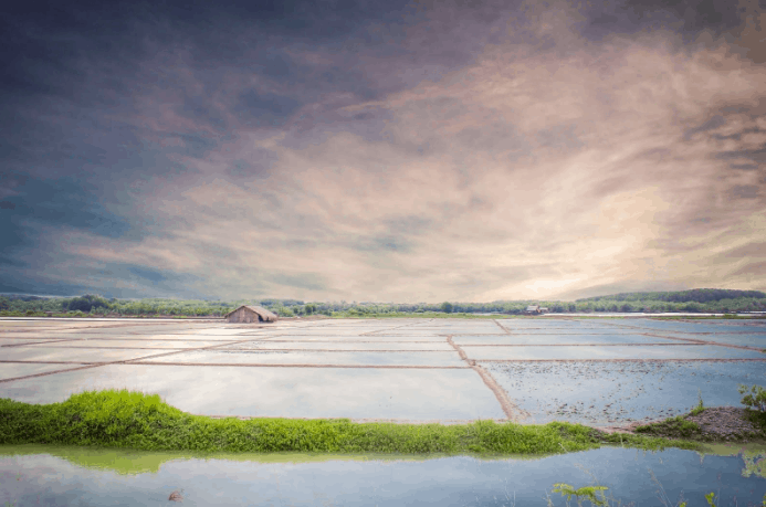 du lịch cần giờ 1 ngày