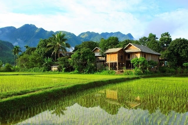 Bản làng ở Mai Châu (Ảnh: ST)